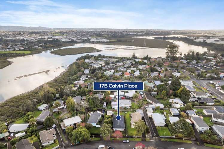 17b Calvin Place Avondale_13