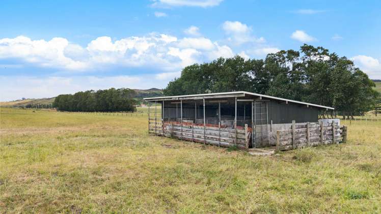 114 Frost Road Onewhero_32