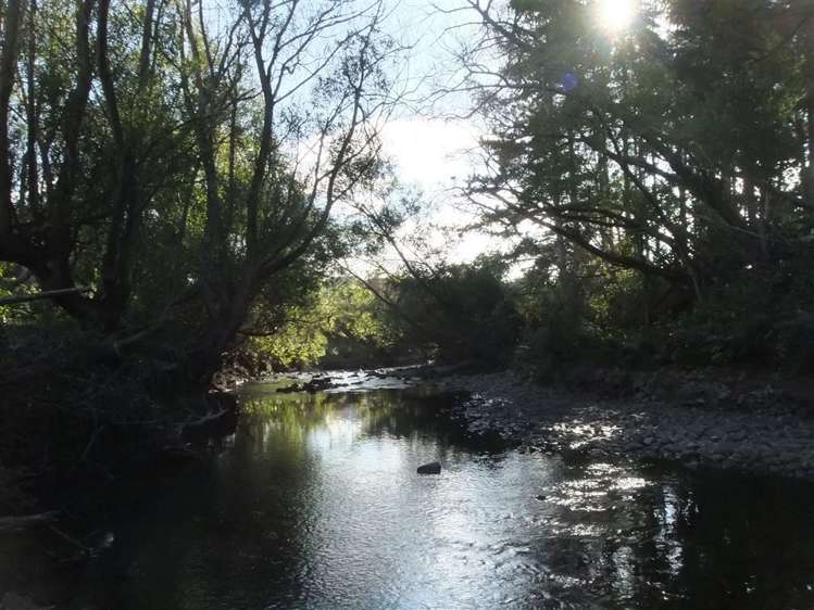 41 Grand Street Shannon_7