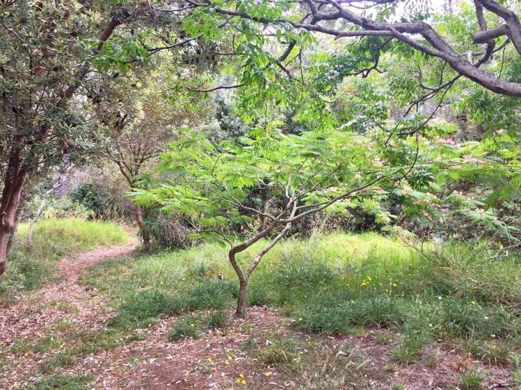 308 Henderson Bay Road Houhora_26