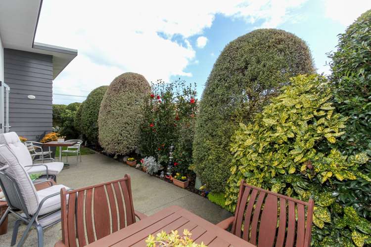 149a Carrington Street Lower Vogeltown_18