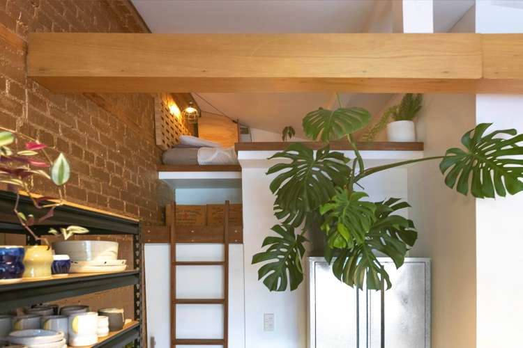 81 Aro Street Aro Valley_9