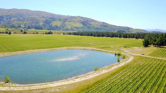 351 Maori Point Road Tarras_2