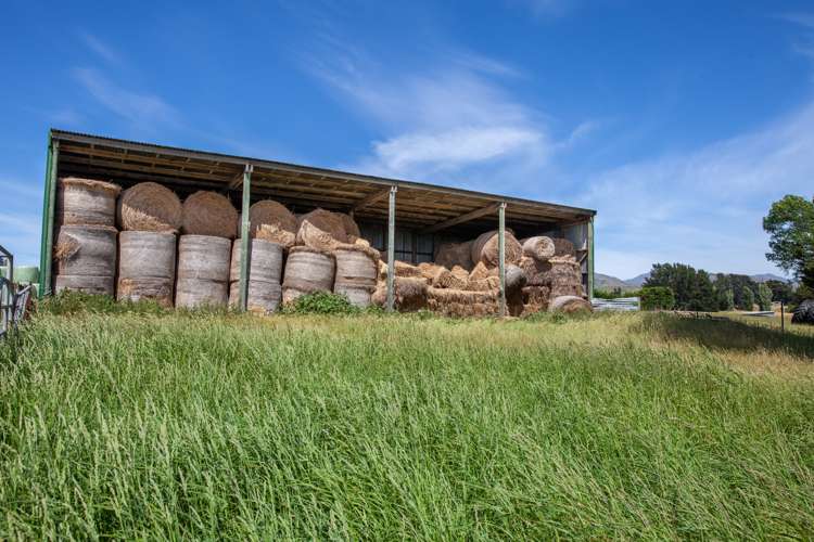 6 Clermont Street Ward_7