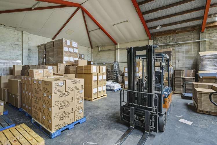 146 Frederick Street North Dunedin_10