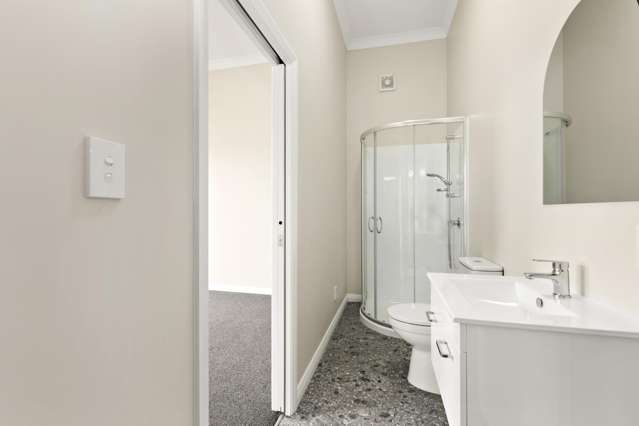 125 Richmond Street Petone_4