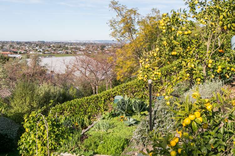 116 Kent Terrace Taradale_16