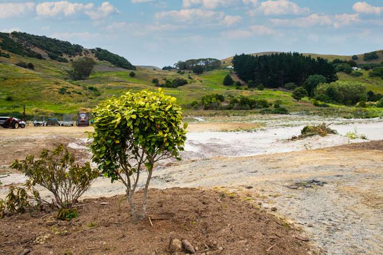 880 Harington Point Road Harington Point_17