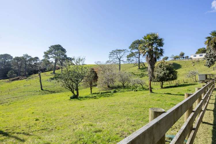 46 Potter Road Dairy Flat_31