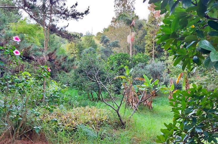 308 Henderson Bay Road Houhora_23