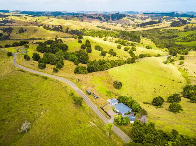 290 Shanks Road Helensville_15