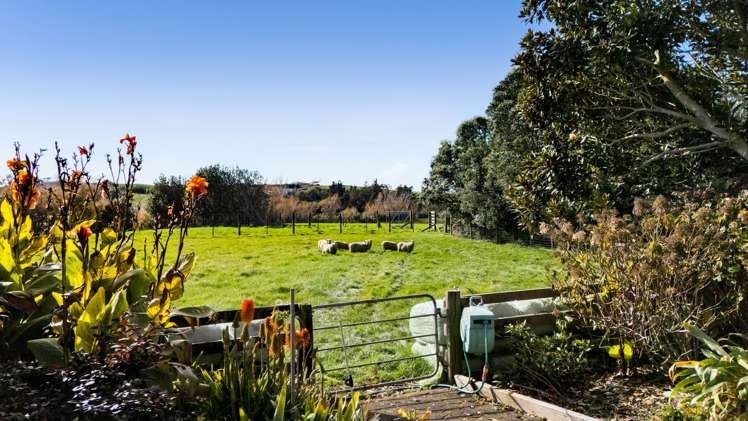 97 Manutahi Road Tarurutangi_12