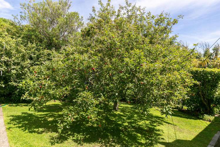 66A Otaki Street Miramar_20