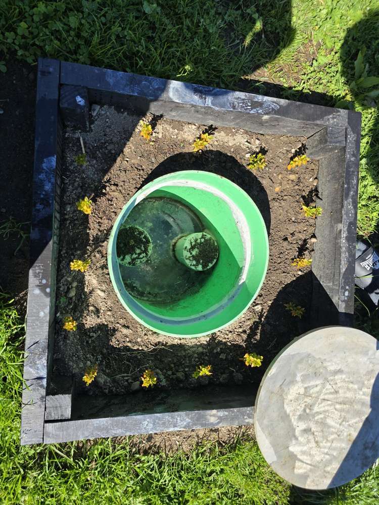 44 Waymouth Street Fairton_22