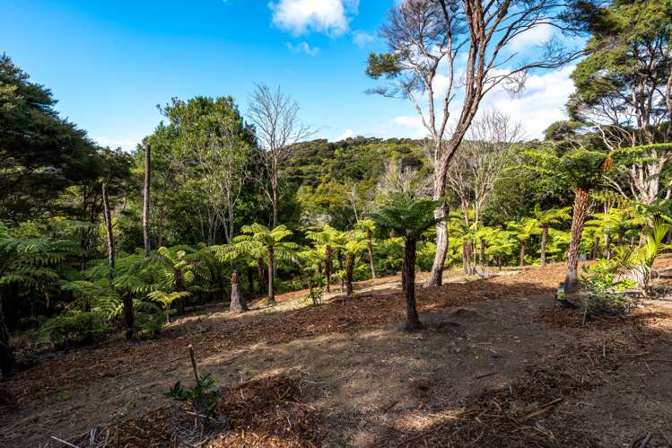 50 Carsons Road Waiheke Island_35