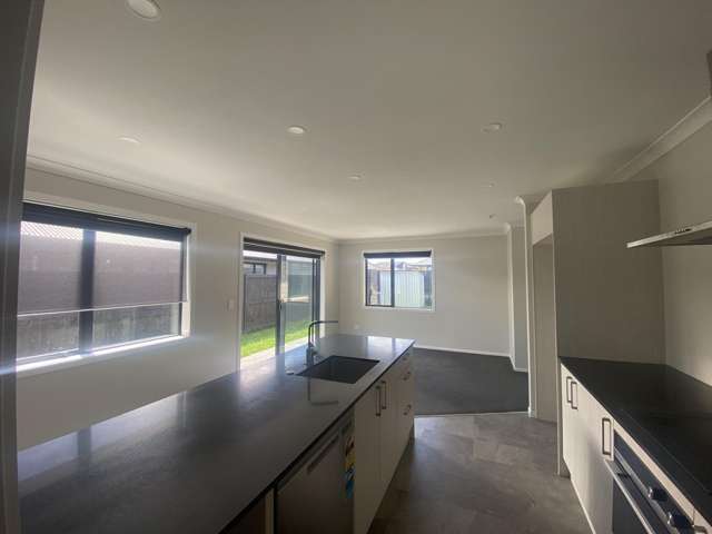 12 Harp Street Morrinsville_1