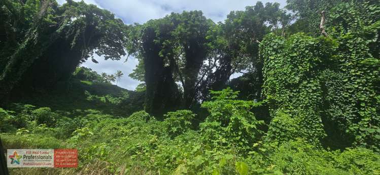 Address withheld Savusavu_10