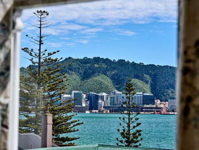 2 Hay Street Oriental Bay_4