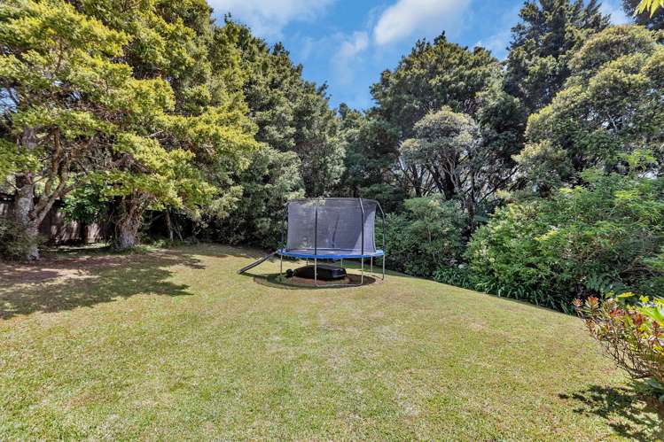 697 Mt Tiger Road Whareora_21