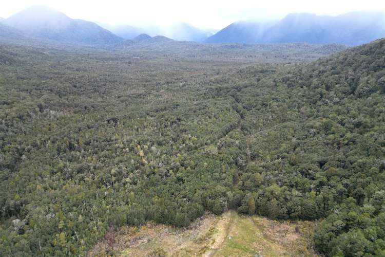 1480 Snowy River Road Ikamatua_20