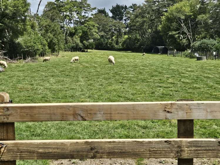 108A Ferguson Road Whatawhata_17