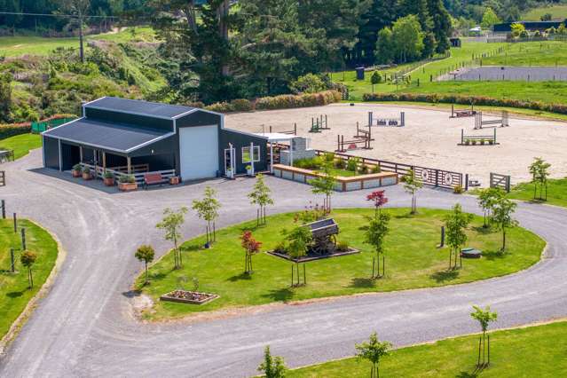 A Rare Find: Equestrian Lifestyle Near Taupo CBD