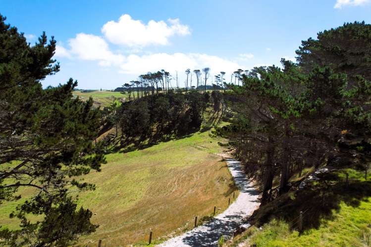 Mount Wesley Coast Road Dargaville_27