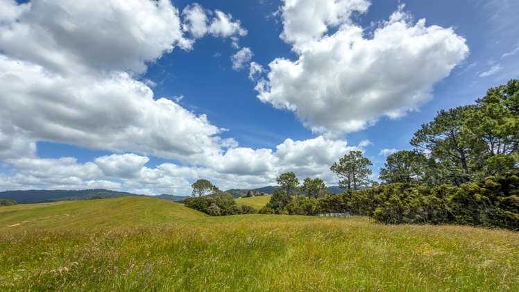 551 Kaiaua Road Kaiaua_13