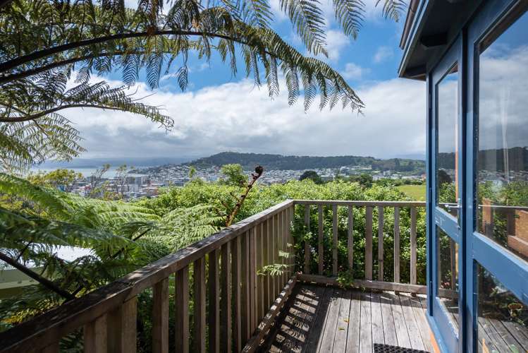 14 Mortimer Terrace Aro Valley_11