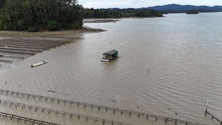 Waikare Inlet Opua_17