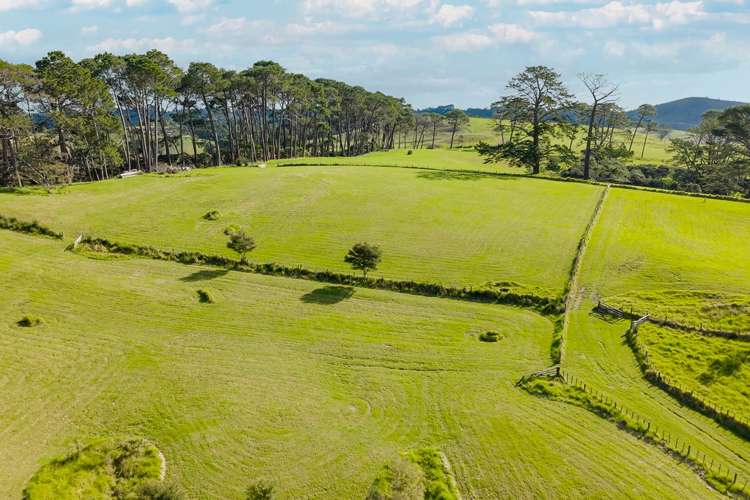 Lot 6/148-176 Waitakere Road_5