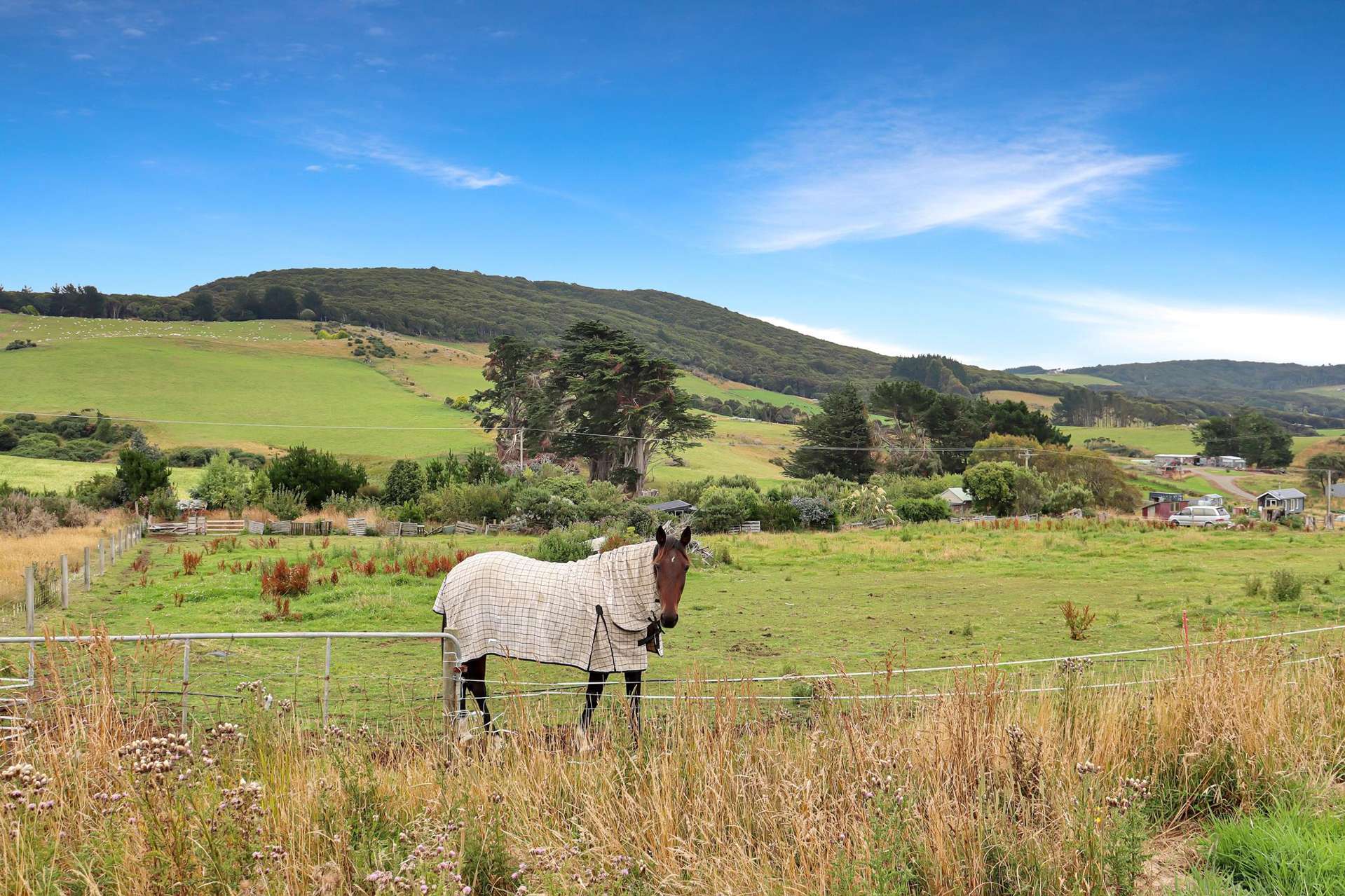 47 Castle Street Riverton_0