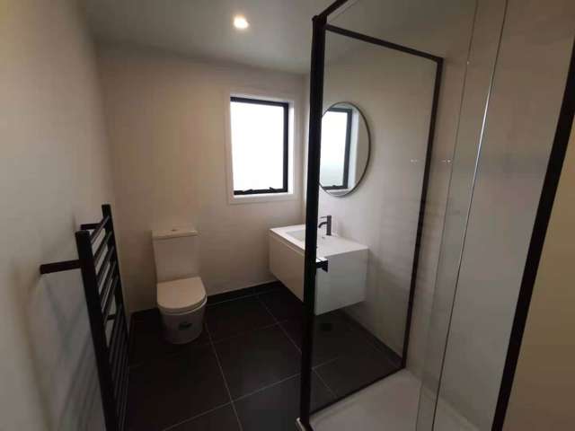 11 Mamuku Drive Massey_2