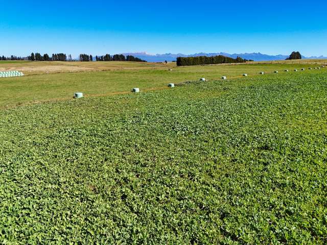 376 Whitestone Road Te Anau & Surrounds_2