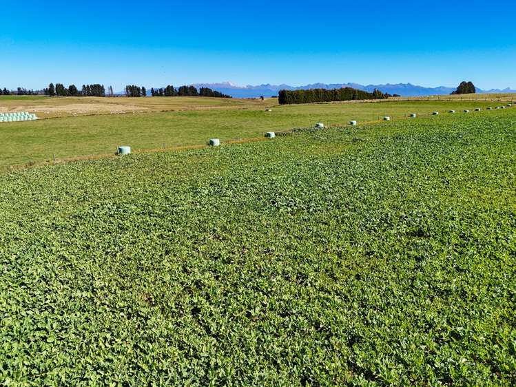 376 Whitestone Road Te Anau & Surrounds_2