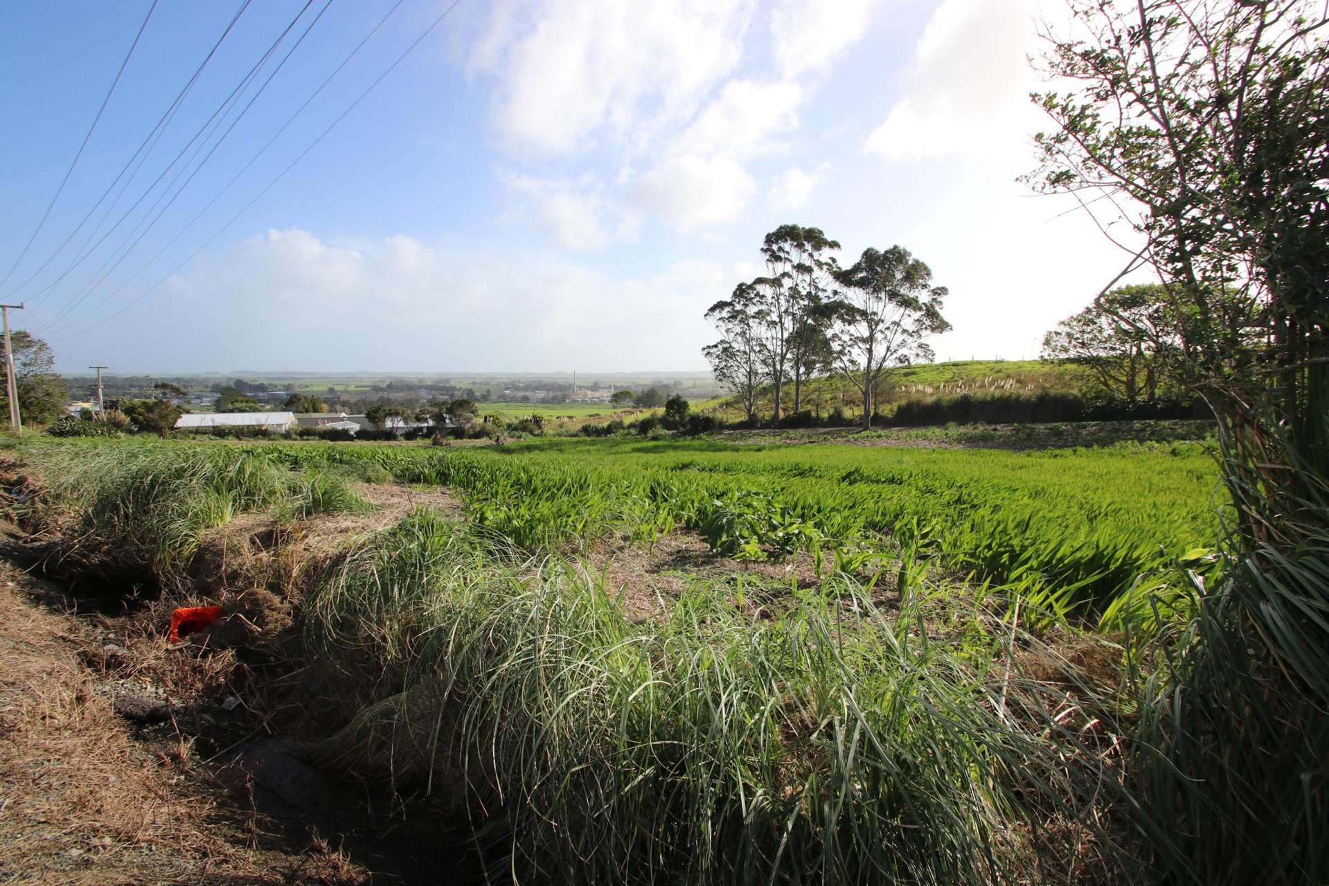 Donald Road Kaitaia_0