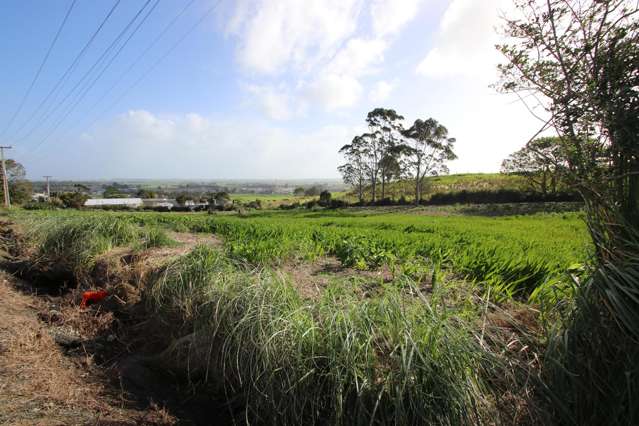 Over an Acre in Town