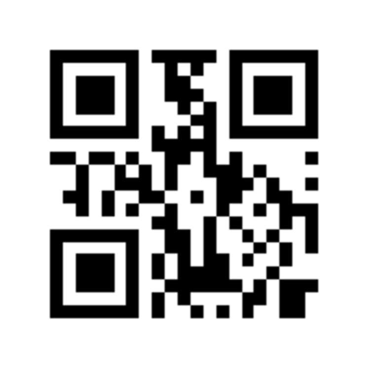 127 Nelson Crescent Napier South_14