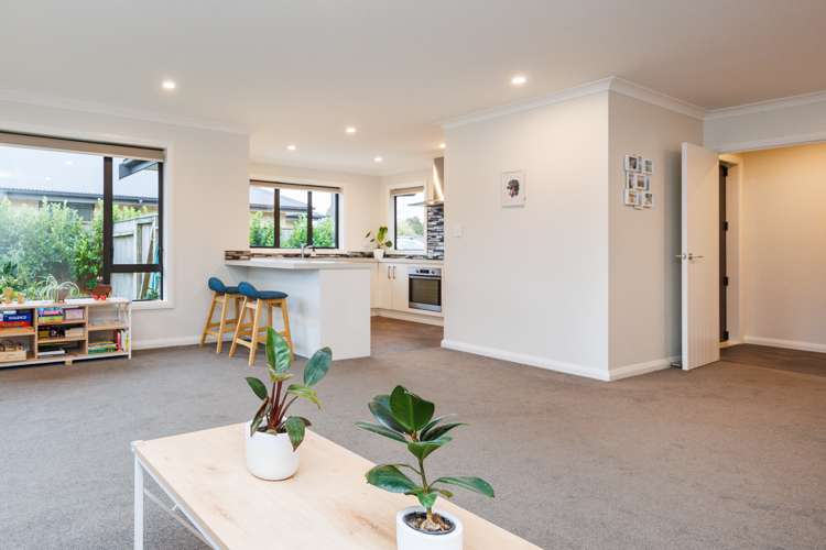 73b Worcester Street Ashhurst_13