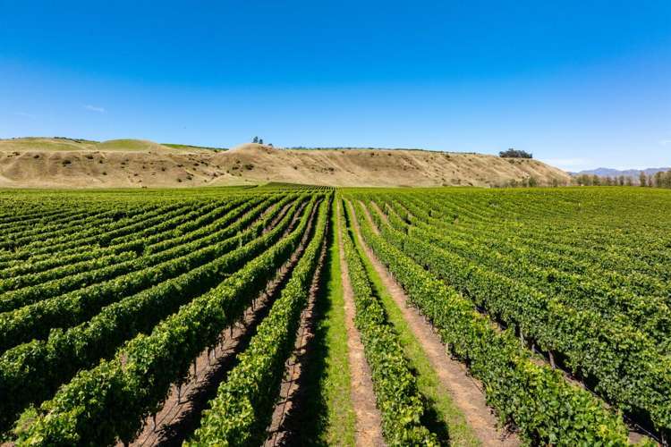 Seaview Road Seddon_8