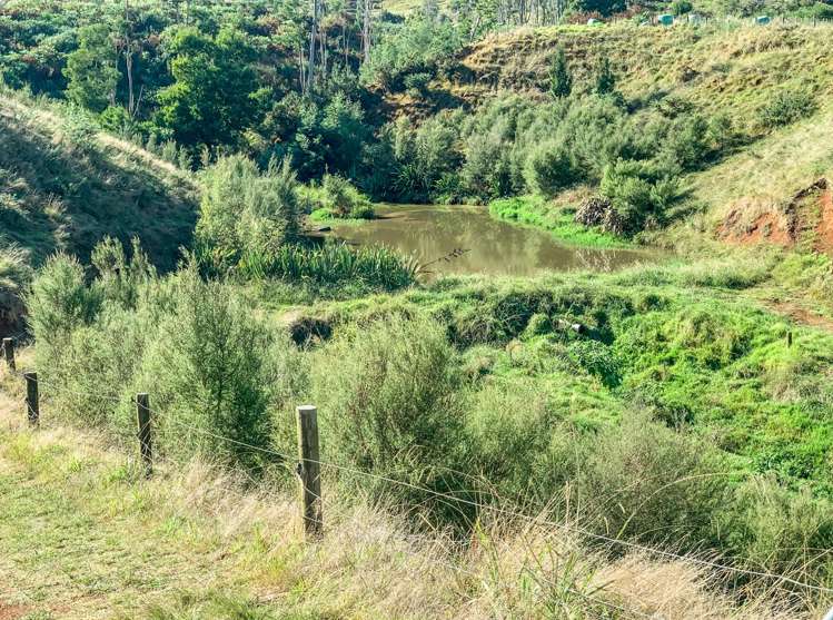 114 Aorangi Road Paeroa_9