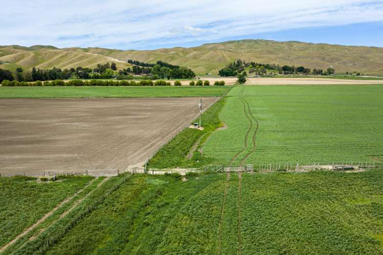 85 West Road Havelock North_17