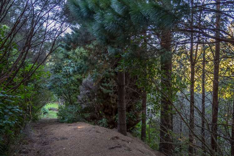 351 Upper Waingawa Road Kaituna_10