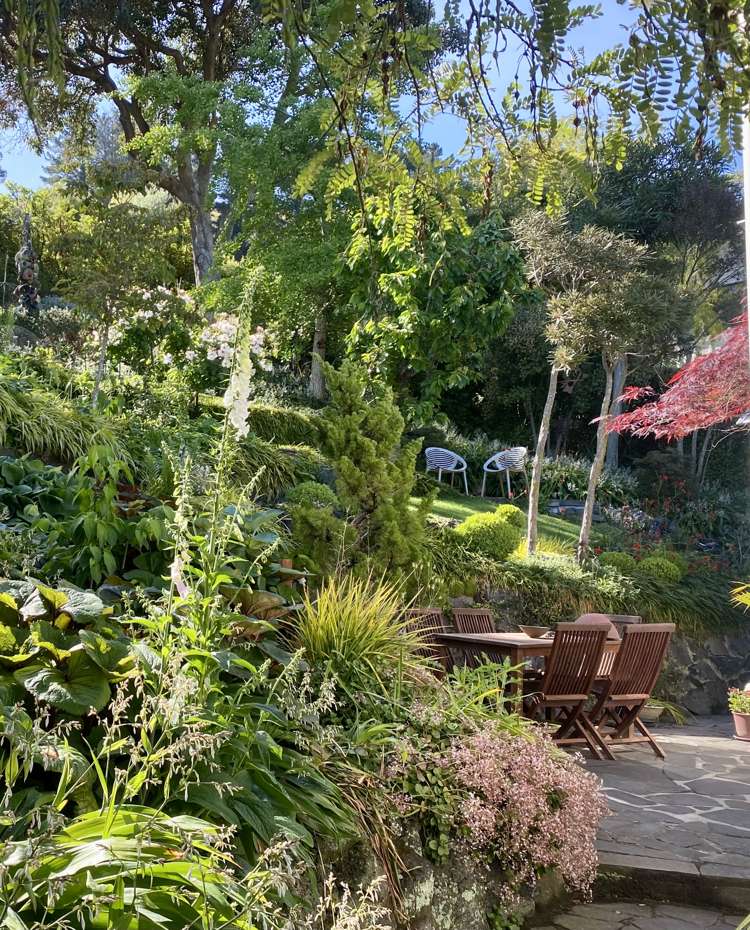 51 Vernon Terrace Hillsborough_25