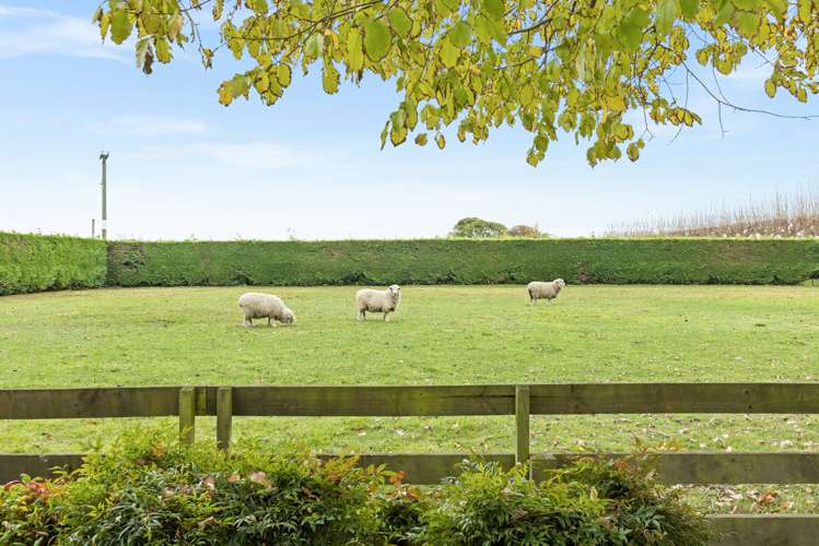 98 Crystall Road Pakipaki_21