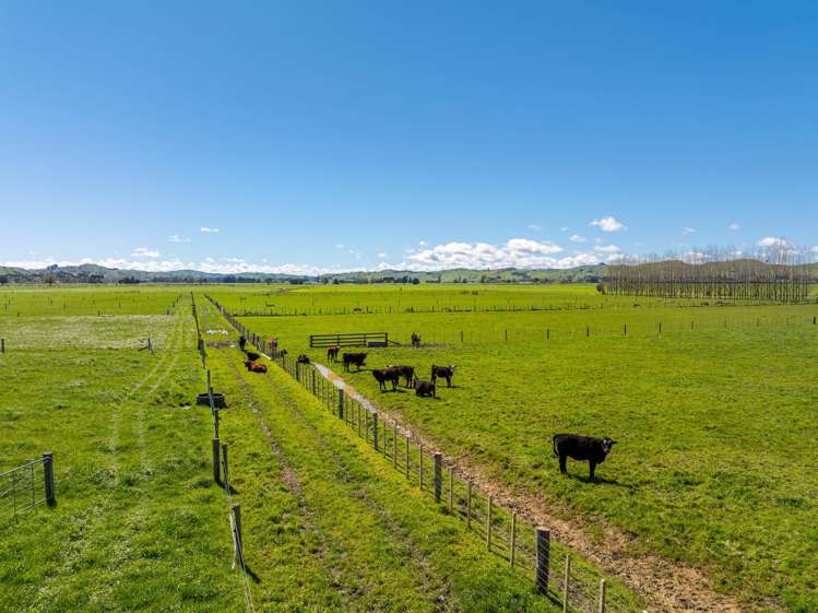 211 Masterton Castlepoint Road Castlepoint_5