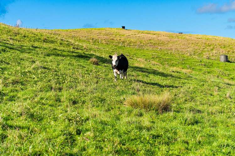 23A Kaitara Lane Kaiwaka_17