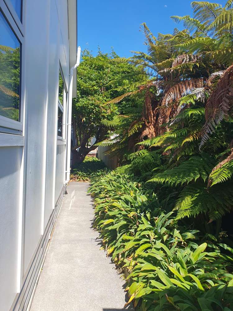 166 Powderham Street New Plymouth_7