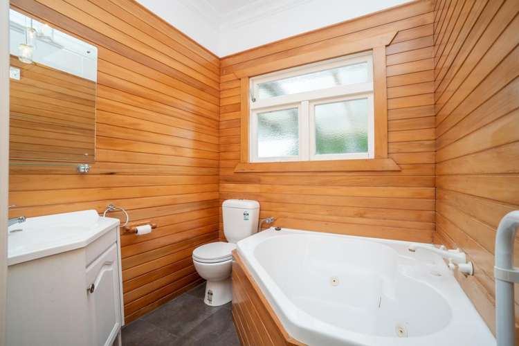 31 Rata Street Roslyn_7