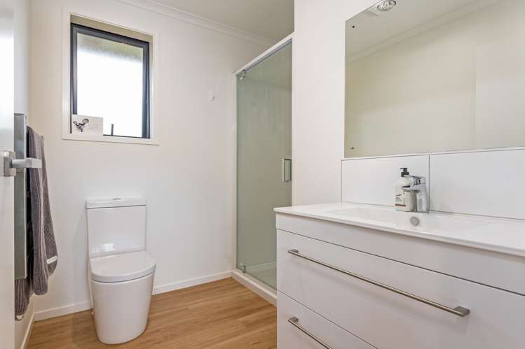 23 George Street Bulls_8